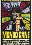 ļ¼Ƭп̷ Mondo cane(1962)-Ѹ