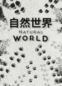 ļ¼ƬȻ һ Natural World Season 1(2019)-Ѹ