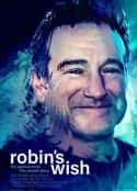 ļ¼ƬޱԸ Robin's Wish(2020)-Ѹ