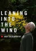 ļ¼Ƭڷ Leaning Into the Wind: Andy Goldsworthy(2017)-Ѹ