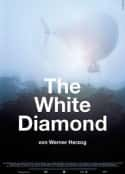 ļ¼Ƭʯ The White Diamond(2004)-Ѹ