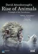 ļ¼Ƭ𣺼׵ʤ David Attenborough's Rise of Animals: Triumph of the Vertebrates(2013)-Ѹ