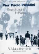 ļ¼Ƭ˹̹ Sopralluoghi in Palestina per il Vangelo secondo Matteo(1965)-Ѹ