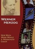 ļ¼Ƭһֻܿе How much Wood would a Woodchuck chuck... - Beobachtungen zu einer neuen Sprache(1976)-Ѹ