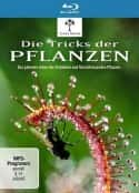 ļ¼Ƭֲ Die Tricks der Pflanzen(2014)-Ѹ