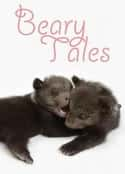 ļ¼Ƭëɼ Beary Tales(2013)-Ѹ