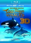 ļ¼Ƭ; 3D Dolphins &amp;amp; Whales Tribes of the Ocean 3D(2008)-Ѹ