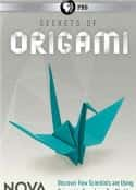 ļ¼Ƭֽ Nova - The Origami Revolution (2017)-Ѹ