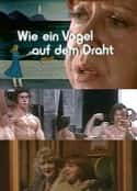 ļ¼Ƭ Wie ein Vogel auf dem Draht(1975)-Ѹ