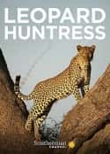 ļ¼Ƭĸ Malika Leopard Huntress (2018)-Ѹ