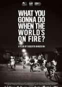 ļ¼Ƭ        սӣȺΪ What You Gonna Do When The World's On Fire?(2018)    -Ѹ