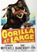 电影《游乐场奇杀案 Gorilla at Large(1954)》-蓝光4K/1080P/720P/360P高清标清网盘百度云BT种子磁力迅雷下载