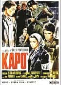 电影《零点地带 Kapò(1960)》-蓝光4K/1080P/720P/360P高清标清网盘百度云BT种子磁力迅雷下载