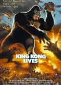 电影《金刚复活 King Kong Lives(1986)》-蓝光4K/1080P/720P/360P高清标清网盘百度云BT种子磁力迅雷下载