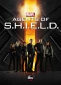 欧美电视剧《神盾局特工 第一季 Agents of S.H.I.E.L.D. Season 1(2013)》-蓝光4K/1080P/720P/360P高清标清网盘百度云BT种子磁力迅雷下载