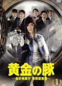 日剧《黄金猪 黄金の豚-会計検査庁 特別調査課-(2010)》-蓝光4K/1080P/720P/360P高清标清网盘百度云BT种子磁力迅雷下载