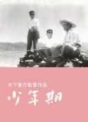 电影《少年期(1951)》-蓝光4K/1080P/720P/360P高清标清网盘百度云BT种子磁力迅雷下载