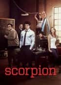 欧美电视剧《天蝎 第二季 Scorpion Season 2(2015)》-蓝光4K/1080P/720P/360P高清标清网盘百度云BT种子磁力迅雷下载