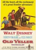 电影《老黄狗 Old Yeller(1957)》-蓝光4K/1080P/720P/360P高清标清网盘百度云BT种子磁力迅雷下载