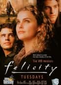 欧美电视剧《费丽丝蒂   Felicity    (1998)》-蓝光4K/1080P/720P/360P高清标清网盘百度云BT种子磁力迅雷下载