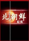电视剧《北朝鲜纪实 NHK North Korea (2005)》-蓝光4K/1080P/720P/360P高清标清网盘百度云BT种子磁力迅雷下载