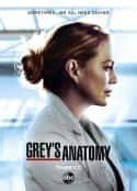 欧美电视剧《实习医生格蕾 第十七季 Grey's Anatomy Season 17(2020)》-蓝光4K/1080P/720P/360P高清标清网盘百度云BT种子磁力迅雷下载