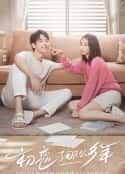 电视剧《初恋了那么多年(2020)》-蓝光4K/1080P/720P/360P高清标清网盘百度云BT种子磁力迅雷下载