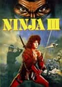 电影《无懈可击 Ninja III: The Domination(1984)》-蓝光4K/1080P/720P/360P高清标清网盘百度云BT种子磁力迅雷下载