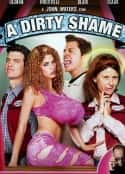 电影《不知羞耻 A Dirty Shame(2004)》-蓝光4K/1080P/720P/360P高清标清网盘百度云BT种子磁力迅雷下载