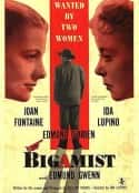 电影《重婚者 The Bigamist(1953)》-蓝光4K/1080P/720P/360P高清标清网盘百度云BT种子磁力迅雷下载