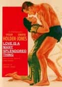 电影《生死恋 Love Is a Many-Splendored Thing(1955)》-蓝光4K/1080P/720P/360P高清标清网盘百度云BT种子磁力迅雷下载