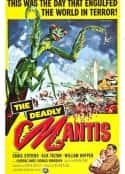 电影《致命螳螂 The Deadly Mantis(1957)》-蓝光4K/1080P/720P/360P高清标清网盘百度云BT种子磁力迅雷下载