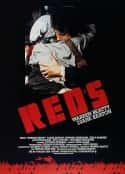 电影《烽火赤焰万里情 Reds(1981)》-蓝光4K/1080P/720P/360P高清标清网盘百度云BT种子磁力迅雷下载