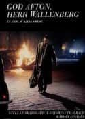 电影《晚安，沃伦伯格先生 God Afton, Herr Wallenberg(1990)》-蓝光4K/1080P/720P/360P高清标清网盘百度云BT种子磁力迅雷下载