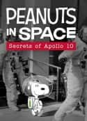 电影《花生在太空：阿波罗十号的秘密 Peanuts in Space: Secrets of Apollo 10(2019)》-蓝光4K/1080P/720P/360P高清标清网盘百度云BT种子磁力迅雷下载