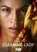 欧美电视剧《清洁工 第二季 The Cleaning Lady Season 2(2022)》-蓝光4K/1080P/720P/360P高清标清网盘百度云BT种子磁力迅雷下载