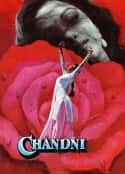 电影《月光 Chandni(1989)》-蓝光4K/1080P/720P/360P高清标清网盘百度云BT种子磁力迅雷下载