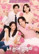 韩剧《我眼中的豆荚 내 눈에 콩깍지(2022)》-蓝光4K/1080P/720P/360P高清标清网盘百度云BT种子磁力迅雷下载