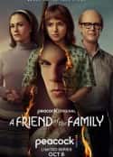 欧美电视剧《家庭之友 A Friend of the Family(2022)》-蓝光4K/1080P/720P/360P高清标清网盘百度云BT种子磁力迅雷下载