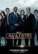 欧美电视剧《法律与秩序 第二十二季 Law &amp;amp; Order Season 22(2022)》-蓝光4K/1080P/720P/360P高清标清网盘百度云BT种子磁力迅雷下载