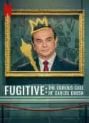 电影《通天大逃犯：汽车大亨戈恩奇案 Fugitive: The Curious Case of Carlos Ghosn(2022)》-蓝光4K/1080P/720P/360P高清标清网盘百度云BT种子磁力迅雷下载