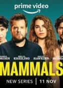 欧美电视剧《哺乳动物 第一季 Mammals Season 1(2022)》-蓝光4K/1080P/720P/360P高清标清网盘百度云BT种子磁力迅雷下载