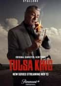 欧美电视剧《塔尔萨之王 Tulsa King(2022)》-蓝光4K/1080P/720P/360P高清标清网盘百度云BT种子磁力迅雷下载