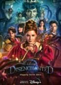 电影《魔法奇缘2：解除魔法 Disenchanted(2022)》-蓝光4K/1080P/720P/360P高清标清网盘百度云BT种子磁力迅雷下载