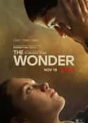 电影《神迹 The Wonder(2022)》-蓝光4K/1080P/720P/360P高清标清网盘百度云BT种子磁力迅雷下载