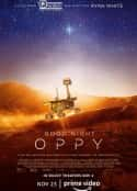 电影《晚安机遇号 Good Night Oppy(2022)》-蓝光4K/1080P/720P/360P高清标清网盘百度云BT种子磁力迅雷下载