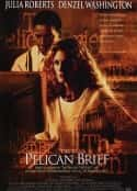 电影《塘鹅暗杀令 The Pelican Brief(1993)》-蓝光4K/1080P/720P/360P高清标清网盘百度云BT种子磁力迅雷下载