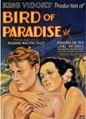 电影《蛮女天堂 Bird of Paradise(1932)》-蓝光4K/1080P/720P/360P高清标清网盘百度云BT种子磁力迅雷下载