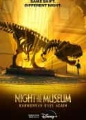 电影《博物馆惊魂夜：卡门拉回归 Night At The Museum：Kahumunrah Rises Again(2022)》-蓝光4K/1080P/720P/360P高清标清网盘百度云BT种子磁力迅雷下载