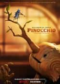 动漫电影《吉尔莫·德尔·托罗的匹诺曹 Guillermo Del Toro's Pinocchio(2022)》-蓝光4K/1080P/720P/360P高清标清网盘百度云BT种子磁力迅雷下载